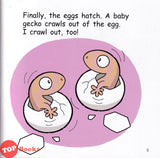 [TOPBOOKS Pelangi Kids] Hello Animals ! Little Gecko Loses Its Tail! 3 (2023)
