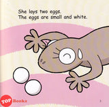 [TOPBOOKS Pelangi Kids] Hello Animals ! Little Gecko Loses Its Tail! 3 (2023)