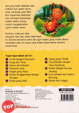 [TOPBOOKS Kohwai Kids] Siri Saya Minat Membaca Semut dan Merpati (3)