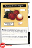 [TOPBOOKS PINKO] My Food ! Journal Fruits Of Malaysia (2025)