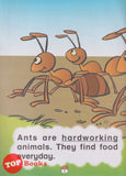[TOPBOOKS Vision Kids] Siri Koala Pintar The Lazy Ants That Learned From Its Lesson Berumur 5-7 Tahun