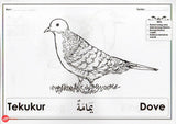 [TOPBOOKS Dunia Ilmu Tijarah Kids] Belajar Sambil Mewarna (Burung)