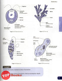 [TOPBOOKS Ilmu Bakti] Matriculation Biology Semester 2 (2023)